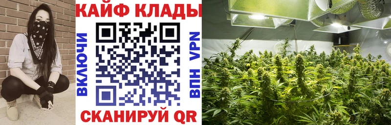 Магазины продажи наркотиков Нерехта ГАШ Канабис Cocaine Мефедрон