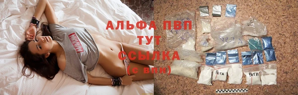 прущие крисы Алзамай