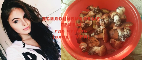 скорость Алексин